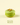 Pistachio macaron